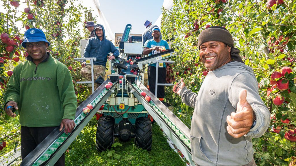 Fairfield Orchards - Seasonal Work - Fruit Picking