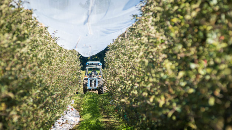 Fairfield orchards - spray operator - tractor operator - crop protection