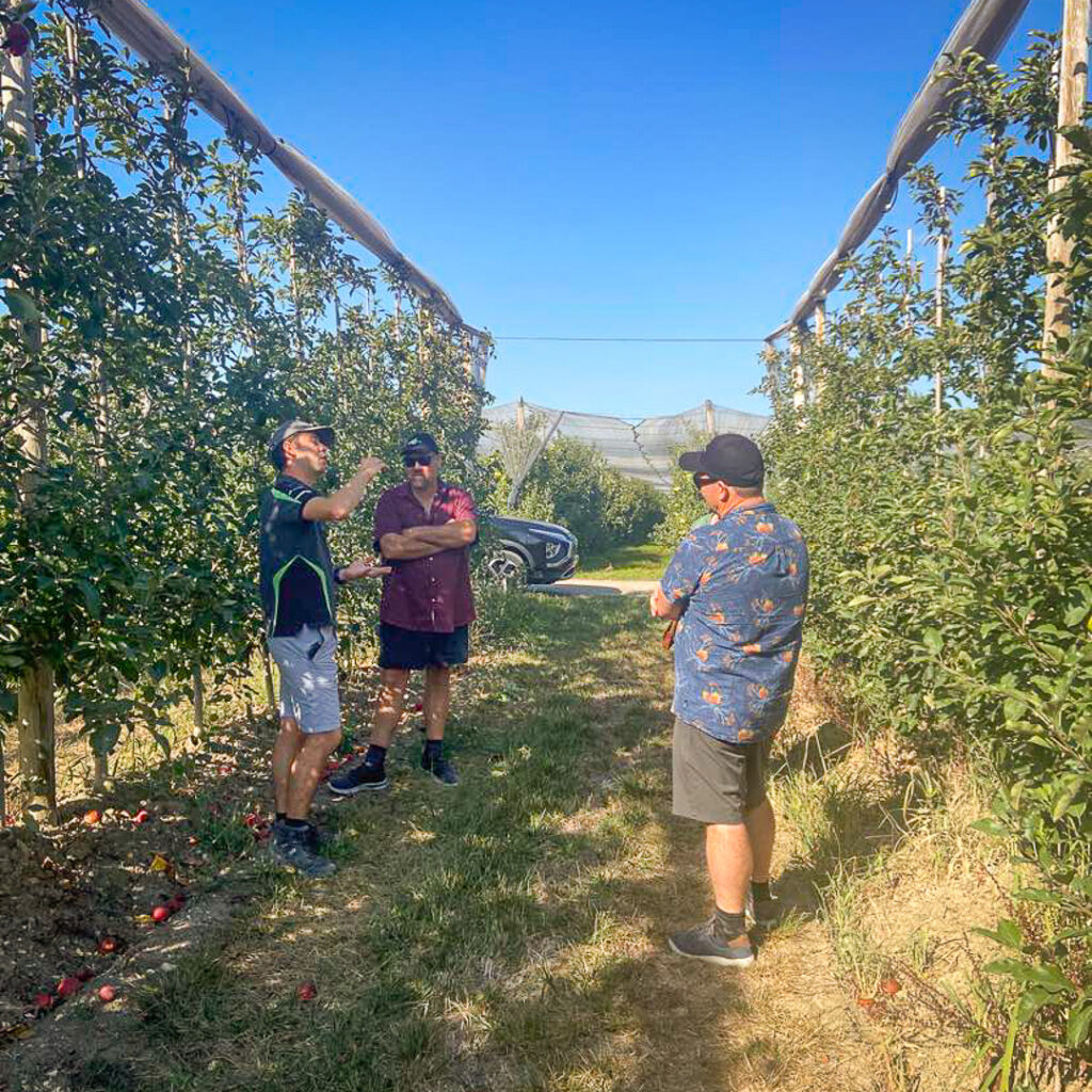 Aaron listens to Hugo Mes describing the operation of the orchard