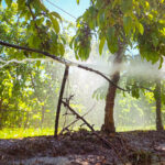 Broken Irrigation pipe spraying water needs irrigation technician to fix it
